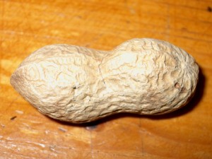 2001.12.15 21.32.40.jpg